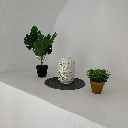 Pals 公寓 林都斯